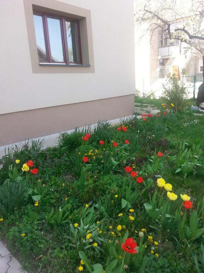 Sweet Dreams Apartment Arandjelovac Exterior foto